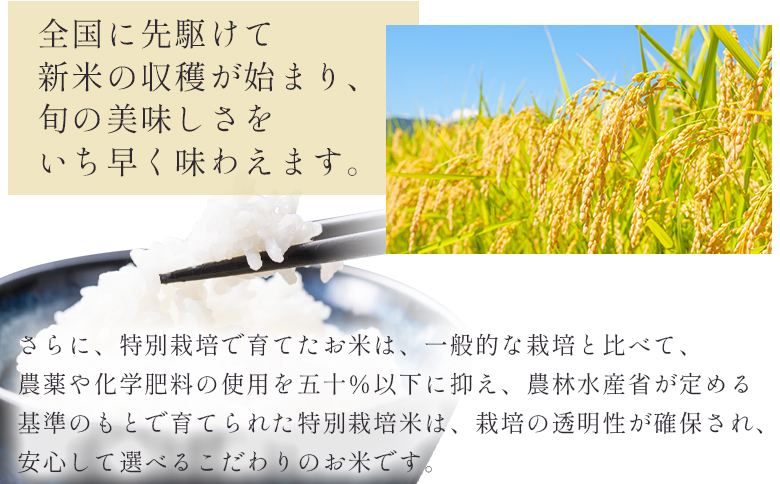 【香南市】コシヒカリ ５kg 無洗米 真空パック 特別栽培米