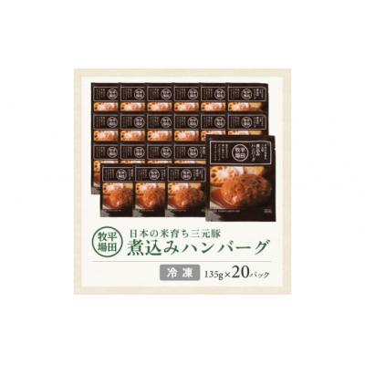 ふるさと納税 酒田市 【平田牧場】日本の米育ち◆三元豚 煮込みハンバーグセット　計20個 |  | 01