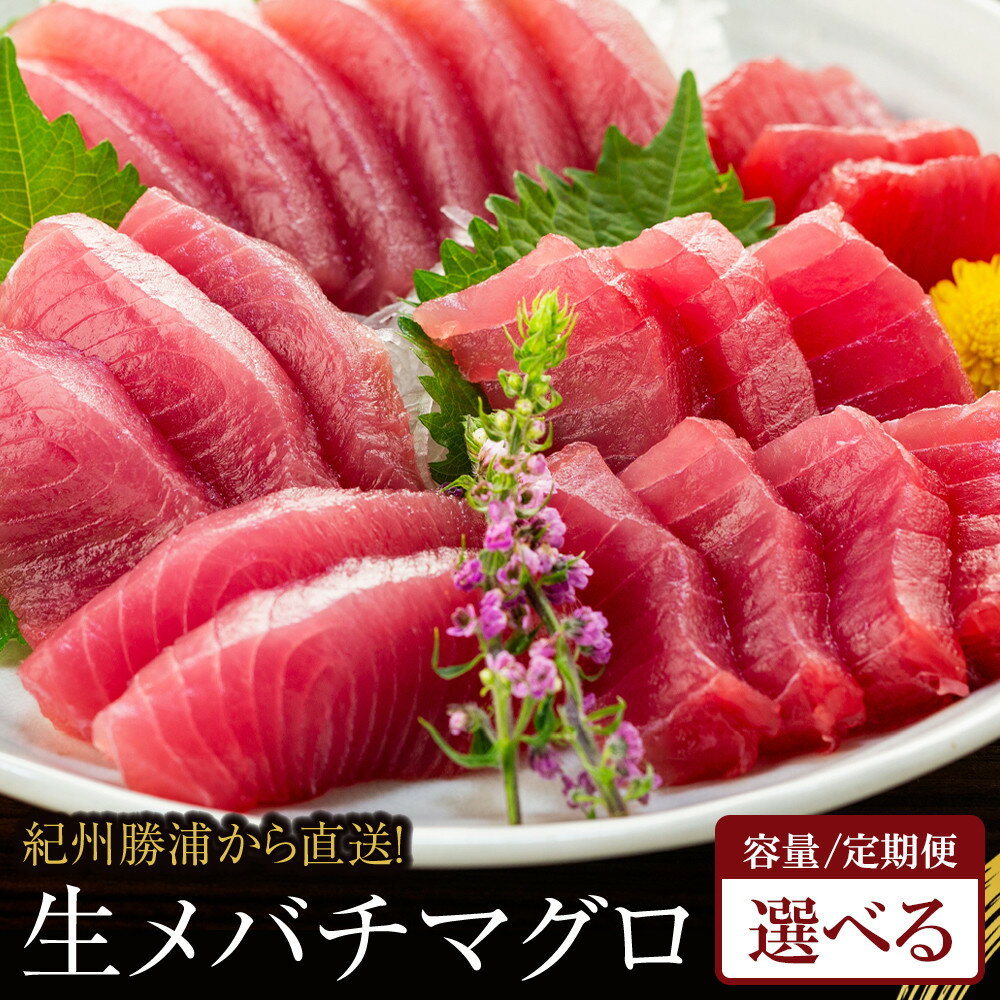 【ふるさと納税】【選べる容量／定期便】生まぐろの本場紀州勝浦から直送！ 生メバチマグロ 約600g～4.5kg | 九度山町 鮮魚 直送 生マグロ メバチマグロ 人気 おすすめ 魚介 海鮮 刺身 鮮度抜群 和歌山産 勝浦港 水産加工品 お取り寄せ 送料無料 ふるさと納税