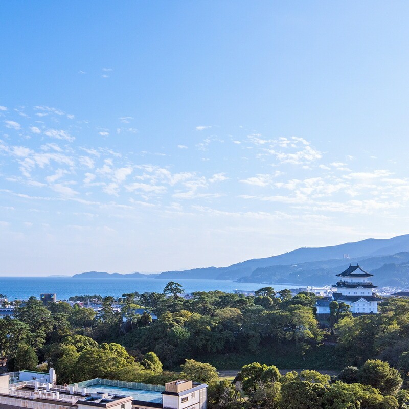 平日限定！　天成園別館1泊素泊り宿泊プラン　1名様 ◆天然温泉浴場ご利用含む◆【温泉  ホテル・旅館 旅行 宿泊 体験・チケット 神奈川県 小田原市 】