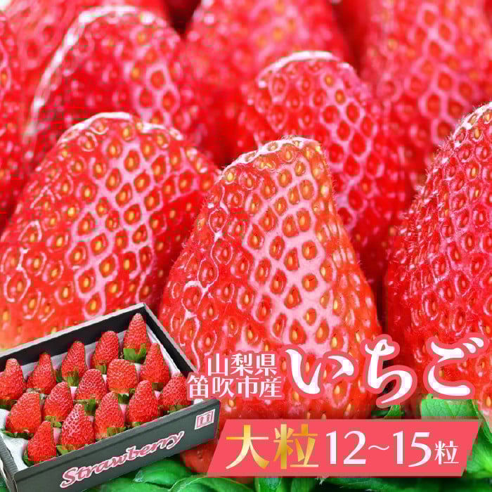 
【山梨県笛吹市】大粒いちご12～15粒入り 164-004
