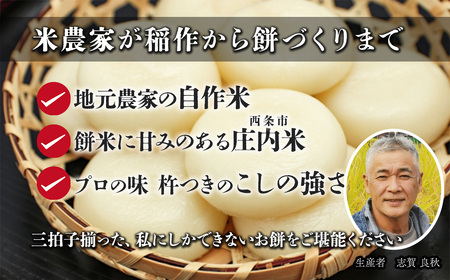 【先行予約】迎春用・杵つき餅（50個）※12/25～12/26に出荷｜丸餅 もち 正月