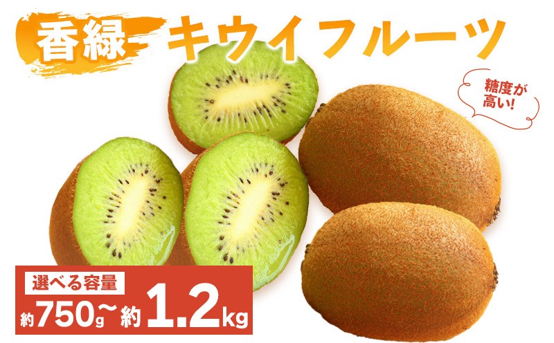 
            先行予約 キウイフルーツ 香緑 約750g 約1.2kg 果物 フルーツ キウイ グリーンキウイ こうりょく デザート スイーツ ケーキ ジュース ゼリー アイス シャーベット ジェラート フルーツ大福 ドライフルーツ  ギフト 家庭用 旬の果物 旬 ビタミンC 美容 健康 お取り寄せ グルメ 人気 おすすめ 香川県 丸亀市
          