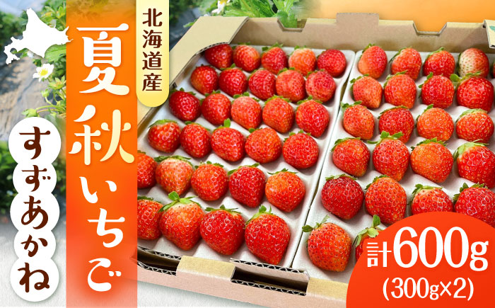 【先行予約 2026年7月以降順次発送】夏秋イチゴ「すずあかね」計600g 《厚真町》【こばやしいちご農園】 [AXBT003]