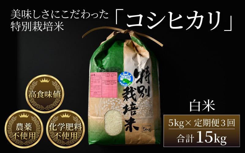 
            【先行予約】【令和7年産 新米】《定期便3回》コシヒカリ 精米 5kg （計15kg）特別栽培米 農薬不使用 化学肥料不使用 ／ 残留農薬ゼロ 高品質 鮮度抜群 福井県産 ブランド米 白米 ※2025年9月下旬より順次発送予定
          