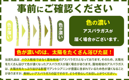 朝採りアスパラガス Mサイズ(1.2kg) 《2025年5月中旬-6月下旬頃出荷予定》北海道 名寄市 送料無料 朝採り 新鮮 アスパラ