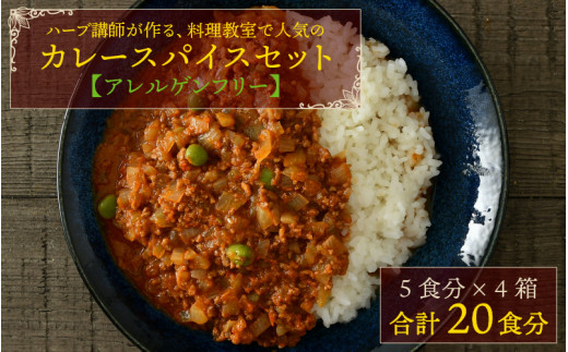 【アレルゲンフリー】ハーブ講師が作る教室で人気のカレースパイスセット （5食分 × 4箱） [A-13012]