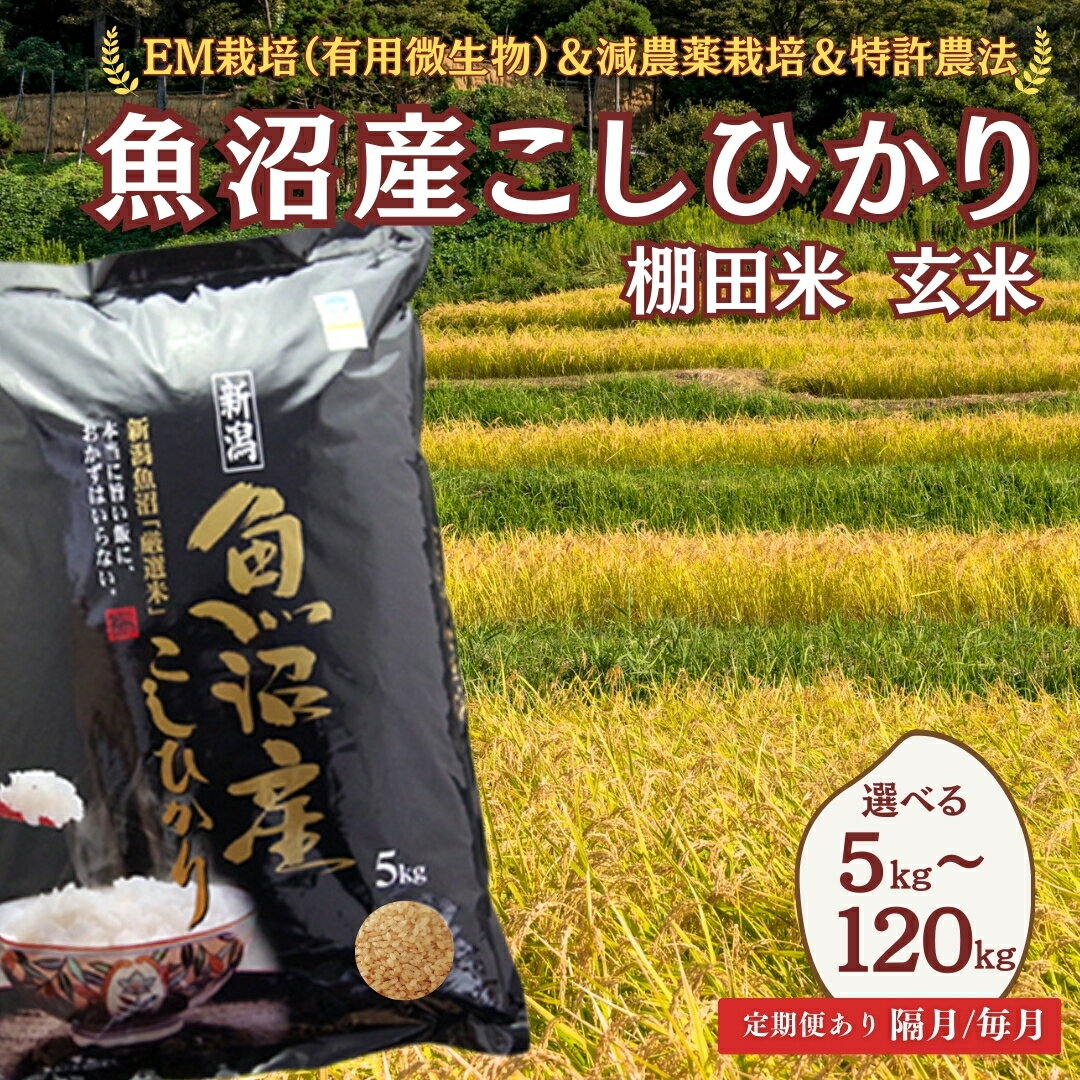 【ふるさと納税】【令和7年産 定期便】魚沼産 コシヒカリ 棚田米 玄米 選べる容量 回数 5kg～120kg 毎月 隔月 佐藤農場 | 魚沼産 こしひかり お米 米 おこめ ブランド米 【0018-sn01db00-01】