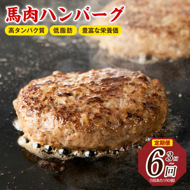 【ふるさと納税】馬肉ハンバーグ 120g × 10個 選べる 定期便 3回 / 6回 個包装 ハンバーグ 馬肉 高タンパク 低脂肪 鉄分 健康志向 栄養豊富 ヘルシー 旨み 便利 簡単調理 おかず お弁当 惣菜 焼くだけ 冷凍 大阪府 泉佐野市 送料無料 肉の泉佐野