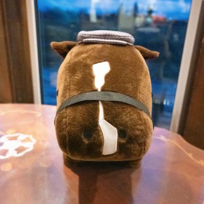 ふるさと納税 平取町 【競馬グッズ】【ワンダーアキュート】特大ぬいぐるみ　画伯バージョン |  | 01