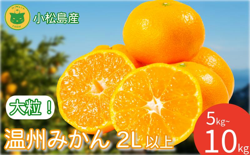 
                  みかん 大玉 温州みかん 5kg~10kg　2L以上 みかん 蜜柑 ミカン オレンジ フルーツ ふるーつ 果物 くだもの 小松島市
                