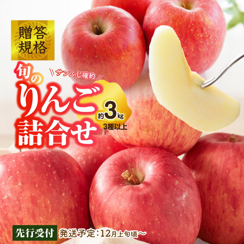 【ふるさと納税】《先行受付》贈答規格 旬のりんご詰合せ約3kg（サンふじ確約3種以上）特秀〜秀 大江町産【2025年12月上旬頃〜発送予定】大江町産 山形りんご りんご専科 清野 詰合せ リンゴ 林檎 フルーツ 果物 産地直送