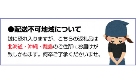 ＜12月上旬～＞農園直送!完熟有田みかん【サイズ混合】10kg ※2024年12月上旬～12月下旬頃に順次発送予定【ard004B-2】　