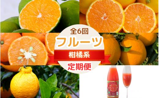 【2025年分先行予約・数量限定】フルーツ定期便（柑橘）【6回定期便】 / 和歌山県 田辺市 みかん ゆら早生 温州みかん 紅ばえ ポンカン 不知火 ブラッドオレンジ タロッコ ブラッドオレンジジュース オレンジジュース 無添加 果汁100% ストレート【mrn017-tk1】