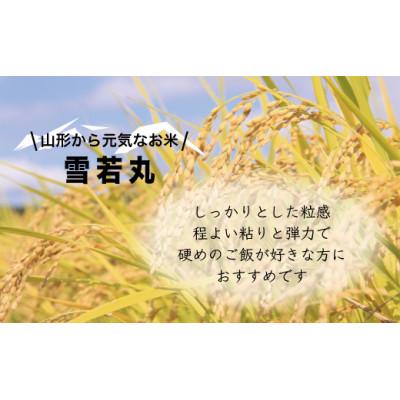 ふるさと納税 小国町 雪若丸 5kg 令和7年産 山形県小国町産 |  | 01