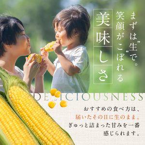 とうもろこし 桃太郎コーン 約4kg 8～12本入り とうもろこし 牛窓産