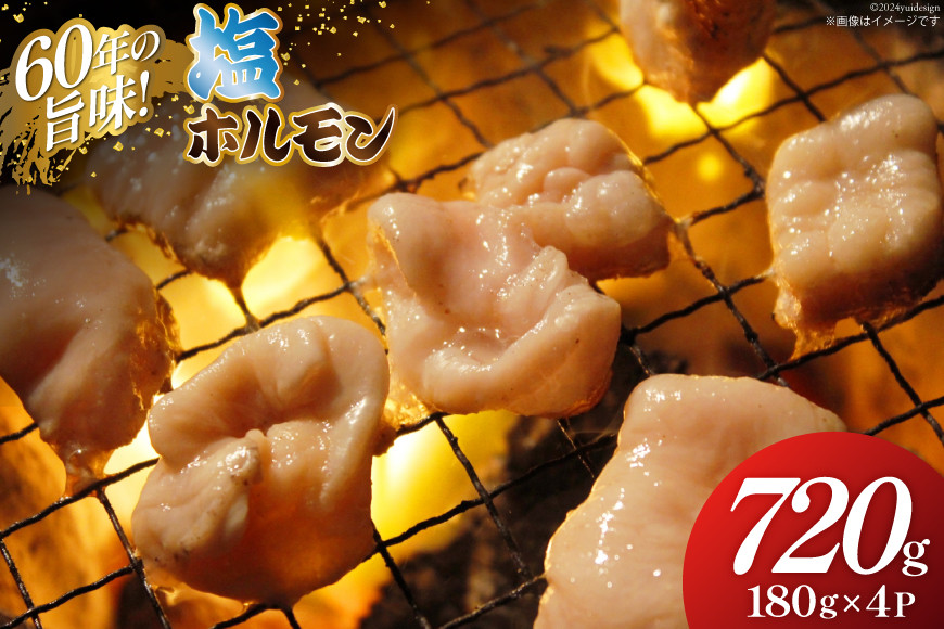
                  ホルモン 肉 180g 4パック 計720g [ 木村精肉店 北海道 歌志内市 01227ai063 ] 肉 お肉 ホルモン レクタム 希少部位 冷凍 塩味 BBQ バーベキュー 焼肉 焼き肉 アウトドア ふるさと納税
                