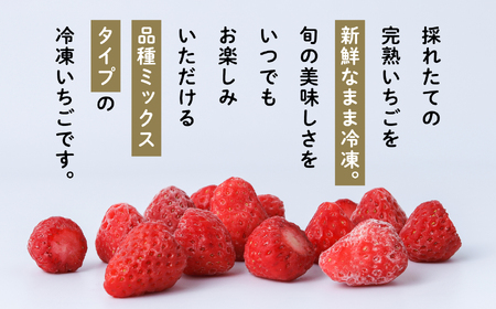 《 訳あり 》 冷凍いちご 大容量 規格外 不揃い 完熟 国産 採れたて 1kg 1袋 真空 個包装 バラ冷凍 ヘタなし 葉なし 冷凍 選べる いちご 苺 人気 送料無料【フルーツパークDETO】