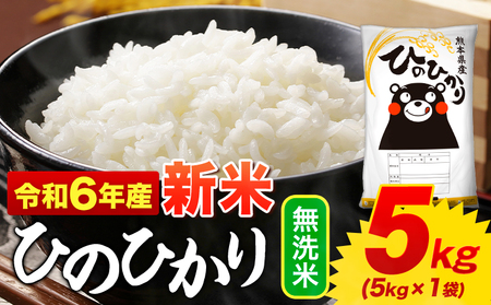 令和6年産新米 早期先行予約受付中 無洗米 ひのひかり 5kg《11月-12月より出荷予定(土日祝を除く)》|令和6年産 熊本県産 ふるさと納税 訳あり家庭用 無洗米 精米 ひの 米 こめ ふるさとのうぜい ヒノヒカリ コメ お米 おこめ