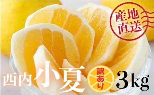 【先行予約】＜訳アリ＞西内小夏　3kg　N42