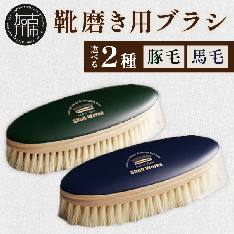 【ふるさと納税】【レビューキャンペーン】靴磨き用ブラシ 白い豚毛 白い馬毛 《 靴磨き 靴 ブラシ 馬毛 豚毛 白 シューケア お手入れ 革靴 自然素材 おすすめ 日用品 プレゼント 贈答用 ギフト プレゼント 贈り物 》