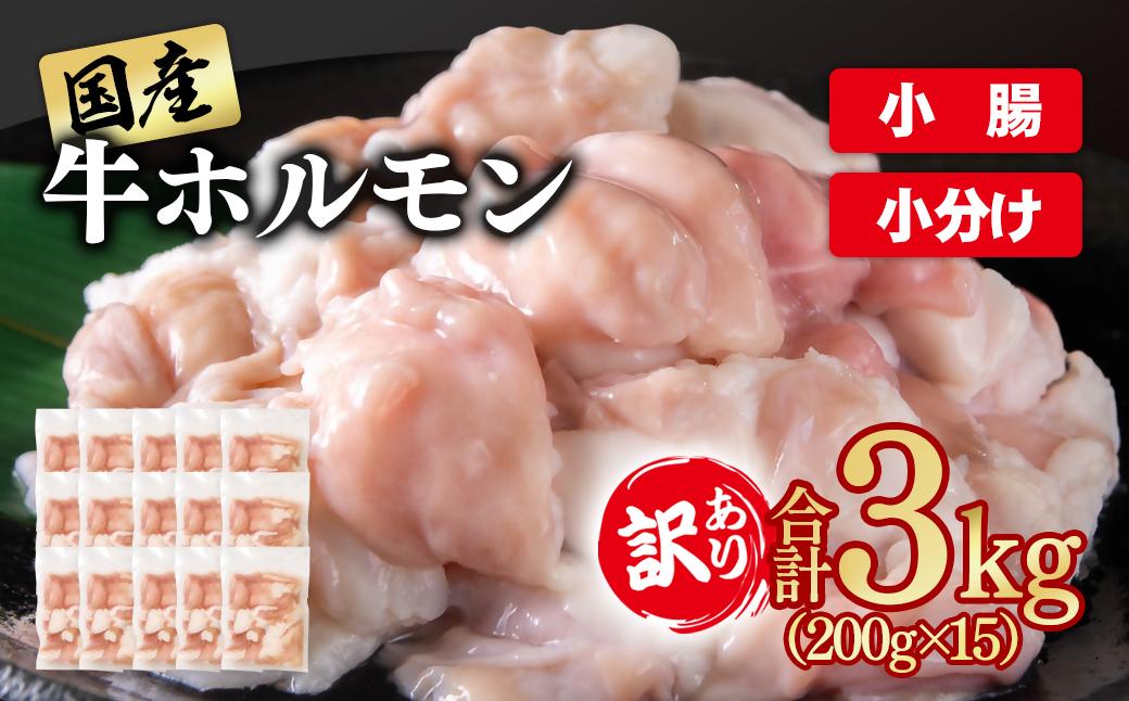 訳あり牛ホルモン3㎏ 小分け200g×15 国産 ホルモン もつ鍋 焼肉用 国産牛 牛モツ コラーゲン＜58-50a＞