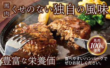 【定期便】 桜文 馬肉ハンバーグ 120ｇ×10個 全3回 【毎月配送コース】