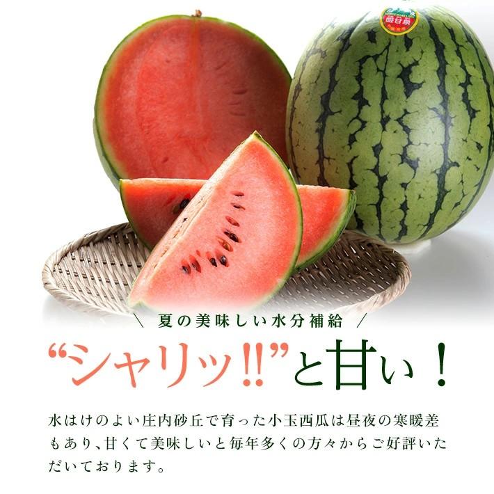 SB0668　庄内の美味しい 小玉すいか 秀品　7kg以上(3～5玉入)