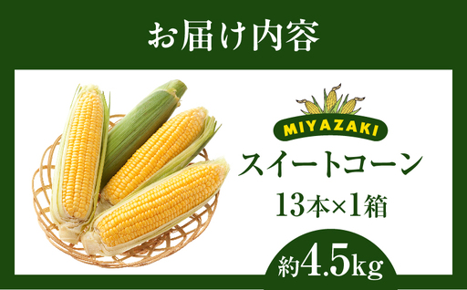 先行予約≪期間限定≫みやざきフレッシュスイートコーン(約4.5kg) とうもろこし 野菜 旬 おやつ 国産_T015-0045