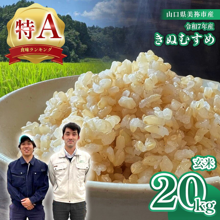【ふるさと納税】 令和7年度産 新米 きぬむすめ ( 玄米 20kg ) 先行予約 ＜ 2025年10月中旬より順次発送予定 ＞ ｜ 米 精米 新米 玄米 米 雑穀 お米 コメ 単一米 きぬむすめ 絹娘 山口 美祢 植柳ファーム 植柳 20kg