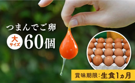 【 プリップリ な 卵黄 ！】 つまんでご卵 60個 セット 糸島 / 緑の農園 たまご 卵 [AGA012] 生卵 鶏卵 たまご 卵 鶏卵 玉子 平飼い たまごかけご飯 卵かけご飯 卵焼き 平飼い卵