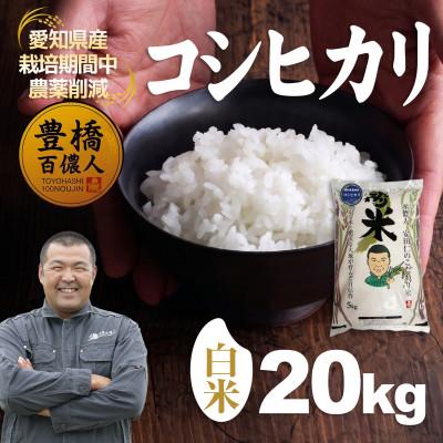 ふるさと納税 豊橋市 【栽培期間中農薬削減】令和7年産 コシヒカリ白米20kg 愛知県 豊橋市 産地直送 | 