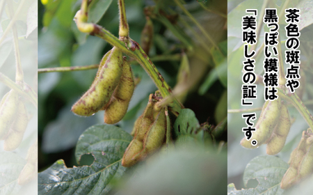 新丹波黒 枝豆 千年枝豆 1.5g さや 京都 丹波 京丹波町産 期間限定 生産者限定 国産 こだわり 厳選 黒豆 枝豆 おつまみ きな粉 黒豆きなこ付き [011HY001L]