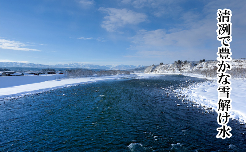 【定期便☆全3回】★令和5年産★“特別栽培米” 魚沼産コシヒカリ 5kg