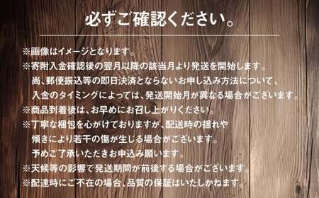 【年6回定期便】くまもとぐるっと名産品満喫定期便① 不知火 桃太郎トマト 馬刺し（上赤身・パストラミ・フタエゴベーコン） くまもとあか牛 サーロイン 梨 クルマエビ 特産品 名産品 しらぬい くだもの