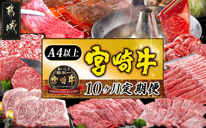 宮崎牛定期便(10ヶ月)〔T120（10）-0103〕