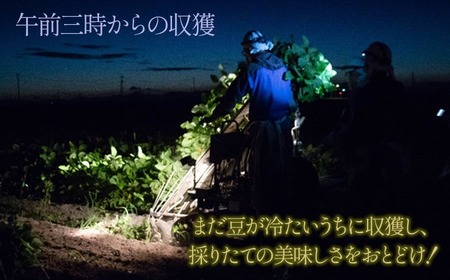 【令和8年産先行予約】本場鶴岡市白山産 とんとん農園のだだちゃ豆(早生系) 2kg袋　K-831