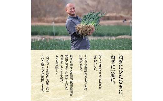 【スピード発送】最短7日以内発送！！京都山城のねぎギフトセット[ねぎベーゼ,ねぎ味噌,ねぎジャム ] 九条ねぎ 京野菜 ねぎベーゼ ねぎ味噌 ねぎジャム 野菜ジャム 調味料 薬味 主役にも イタリアンソース 隠し味に 【001-01-S】