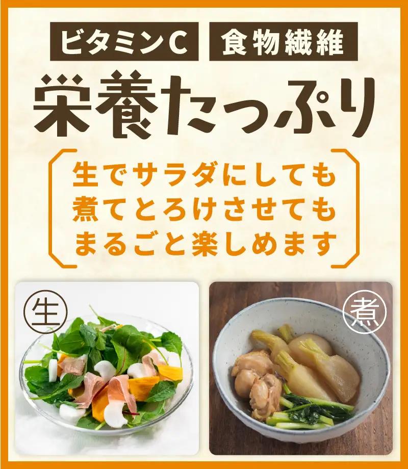 先行予約 村上農園産 小かぶ5パック入り (2玉×5袋) 計10個 2026年10月中旬以降順次発送予定 野菜 かぶ 新鮮 [A-16517]