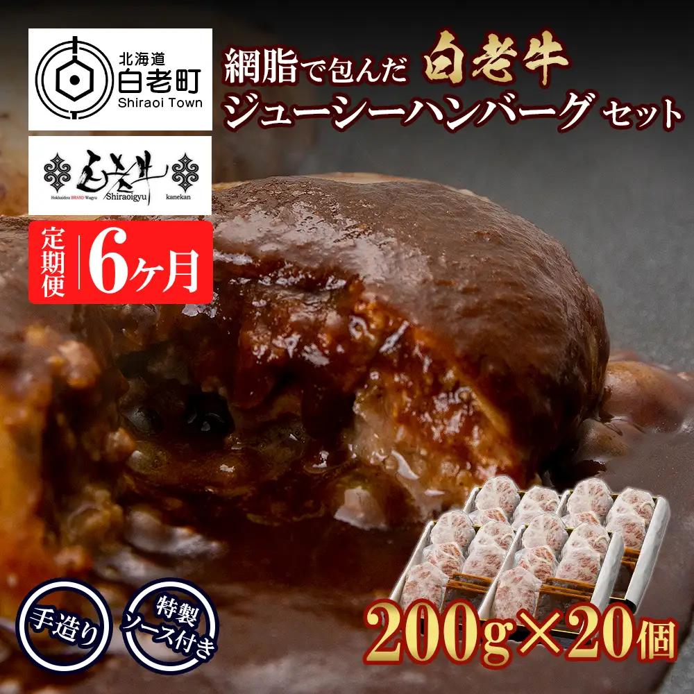 定期便6カ月 お楽しみ 白老牛 ジューシー ハンバーグ セット 20個 BY104