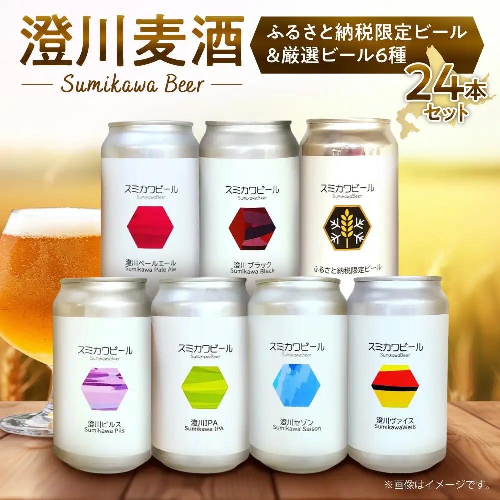 【先行予約】澄川麦酒ふるさと納税限定ビール12本＋厳選12本　24本セット | 地ビール クラフトビール ビール 晩酌 北海道 札幌市