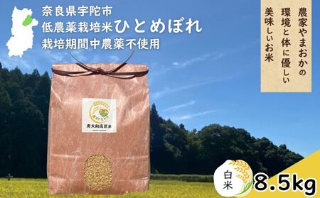 ひとめぼれ 低農薬栽培＜令和7年産 白米 8.5kg ＞ / ふるさと納税 低農薬 米 お米 こめ コメ 国産 新米 玄米 一等米 農家やまおか 奈良県 宇陀市