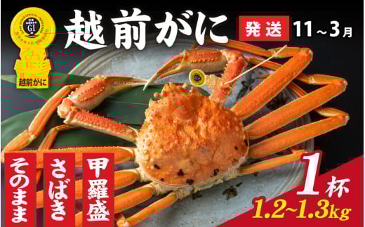 【先行予約】選べる！美味しさ直送【成前特選】越前かに（1.2kg～1.3kg）×1杯【11月～3月発送】捌き  [O-028021_08] / 福井県 福井 オス 雄 ズワイガニ ボイル 冷蔵 越前ガニ 越前がに 越前カニ ずわいがに ずわい蟹 かに カニ 蟹 指定 茹で 捌き 甲羅盛