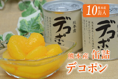 B9-13 デコポン缶詰（10缶入）