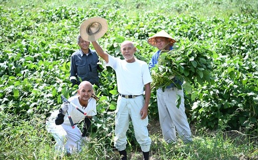 瑞穂大納言小豆 500g 【 地域限定 ブランド 小豆 あずき あんこ 赤飯 ぜんざい 京都 京丹波町産 国産 丹波 ご当地グルメ お取り寄せ 】 [008KK003]
