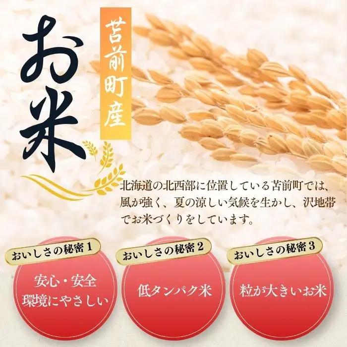 令和7年産 北海道とままえ産 ゆめぴりか 5kg 米 お米 北海道産 北海道米 特Aランク 国産 白米 コメ 北海道 苫前町 とままえ rum05