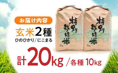 【R7年新米】九州のこだわり玄米食べ比べ (10kg×2) / にこまる ひのひかり 食べ比べ 玄米 げんまい 米 こめ コメ / 諫早市 / 上島農産 [AHAS006] 新米 しんまい