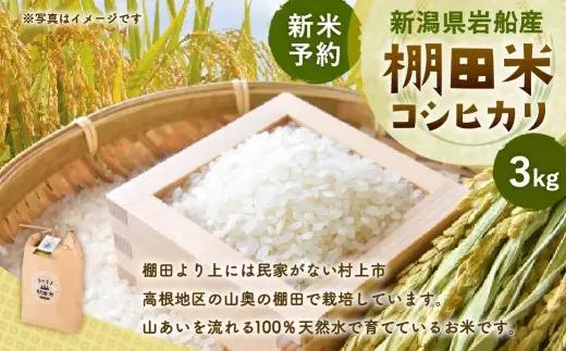 【新米受付・令和8年産米】新潟県村上市岩船産 棚田米コシヒカリ 3kg　1011007N