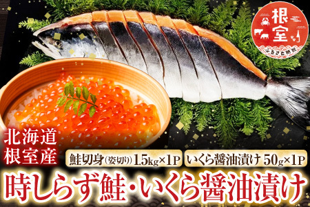 [12月21日決済分まで年内配送]【北海道根室産】時しらず鮭1.5kg×1P・いくら醤油漬け50g×1P F-42013