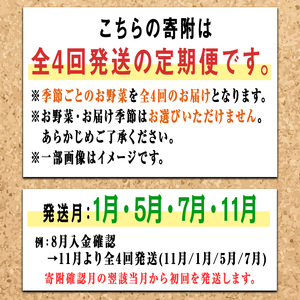 コ旬の有機栽培野菜セット 全4回 定期便 有機JAS 詰め合わせ 【野菜】【ho1552】